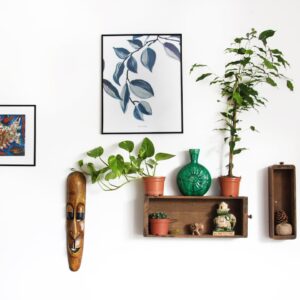 Plant Shelf